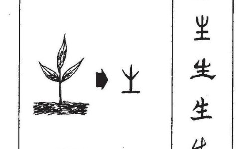 排卵期禁忌吃什么食物网—知名的排卵期饮食注意事项网站,分享排卵期吃啥东西对身体好知识